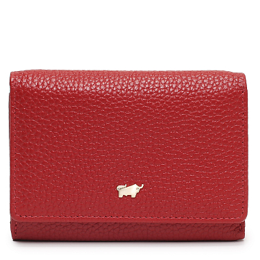Braun Buffel